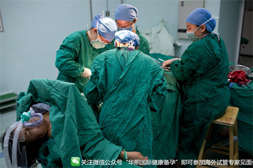 试管打夜针有哪些注意事项 试管打夜针后多久能进行取卵?插图 试管打夜针有哪些注意事项 试管打夜针后多久能进行取卵?插图