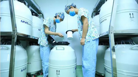 什么是全胚冷冻？保存生育机会最妥当的“后悔药”插图3