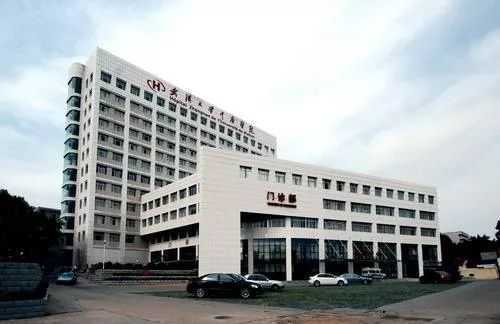 2024年武汉大学中南医院做第三代试管包生男孩多少费用?插图 2024年武汉大学中南医院做第三代试管包生男孩多少费用?插图