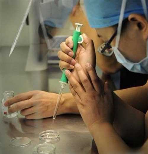 美国试管婴儿冻卵流程是怎样的?美国做试管婴儿的费用多少?插图 美国试管婴儿冻卵流程是怎样的?美国做试管婴儿的费用多少?插图