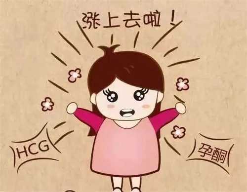 做试管婴儿大约要多少钱?双方地贫可以做试管婴儿吗?插图 做试管婴儿大约要多少钱?双方地贫可以做试管婴儿吗?插图