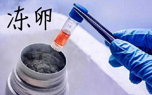 冻卵和冻胚有什么区别?哪些人可以冻卵?插图 冻卵和冻胚有什么区别?哪些人可以冻卵?插图