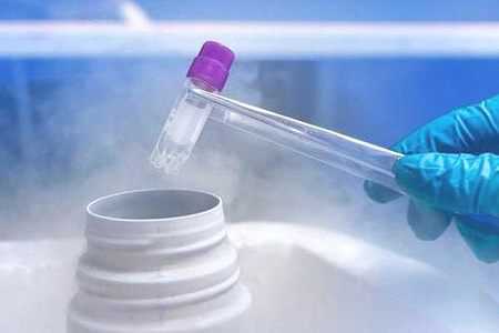 试管不着床查免疫有用吗,移植怀孕后能不能吃隔夜菜?插图 试管不着床查免疫有用吗,移植怀孕后能不能吃隔夜菜?插图