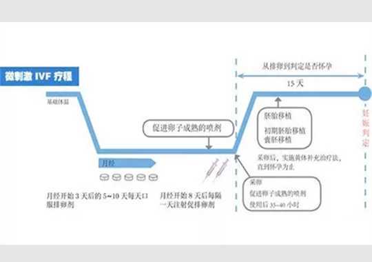 试管婴儿微刺激方案的步骤插图