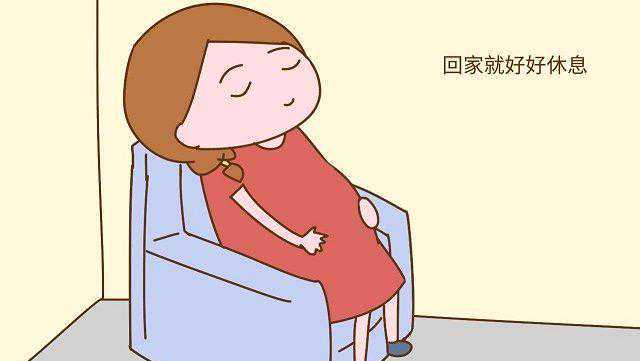 做试管婴儿因为畸形精子91插图1