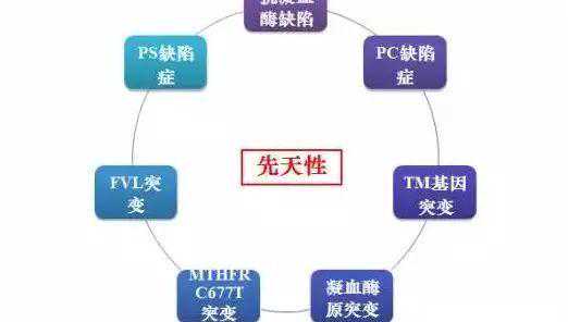 做试管婴儿胚胎停育、空孕囊，都是怎么一回事？插图7