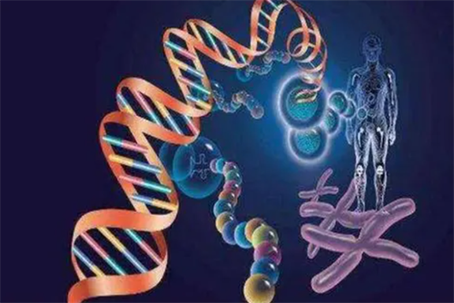 南京鼓楼试管需要多少钱?江苏省有供卵不用等的医院吗?插图 南京鼓楼试管需要多少钱?江苏省有供卵不用等的医院吗?插图