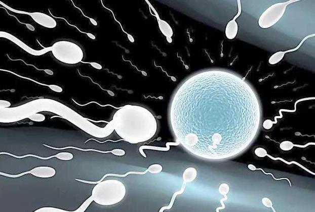 2024年国内私立医院试管婴儿要结婚证吗?插图 2024年国内私立医院试管婴儿要结婚证吗?插图