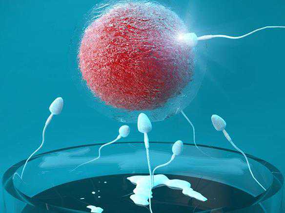 南京三代试管生男孩价格多少?南京试管婴儿价目表一览?插图2 1657330089726644.jpeg