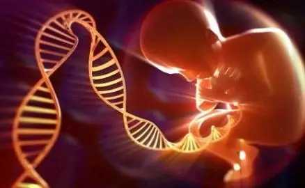 2024做泰国试管婴儿要花多少钱？附价格清单插图