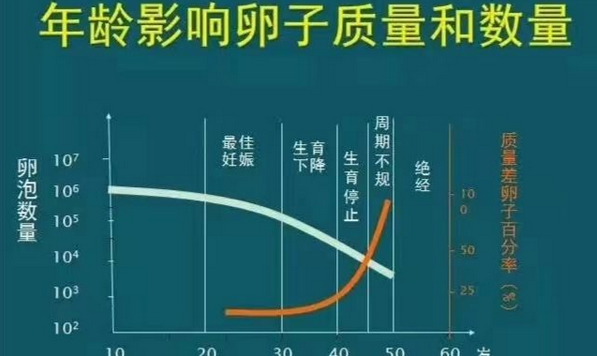古巨基老婆陈韵晴冻卵生娃,51岁高龄生育真不容易!插图3 古巨基老婆陈韵晴冻卵生娃,51岁高龄生育真不容易!插图3