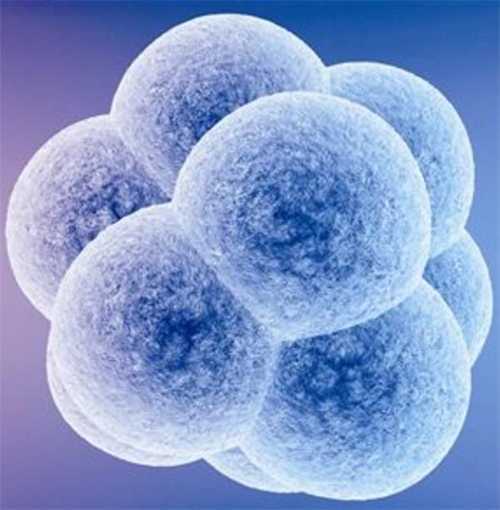 供精试管一次成功的多吗？山大生殖医院精子库申请供精的条件？插图