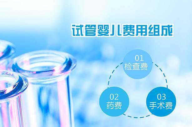 俄罗斯做试管婴儿大概需要多少钱?插图