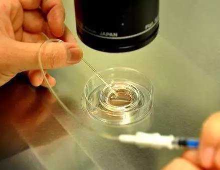 什么是第一代试管婴儿(IVF),流程费用及成功率插图 什么是第一代试管婴儿(IVF),流程费用及成功率插图
