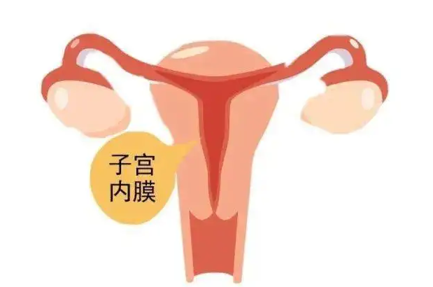 子宫内膜厚度多少容易受孕?如何保护自己的子宫内膜插图 1660110743028929.png