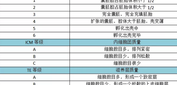 鲜胚囊胚冻胚,移哪个好?关于试管婴儿的那些事儿插图4 鲜胚囊胚冻胚,移哪个好?关于试管婴儿的那些事儿插图4