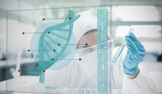 湖北做试管婴儿排名前五的医院有哪些?湖北优秀的试管医院推荐插图 湖北做试管婴儿排名前五的医院有哪些?湖北优秀的试管医院推荐插图