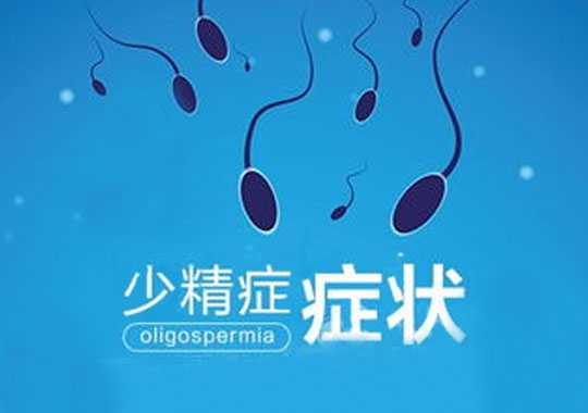 少精症症状(oligozoospermia)插图