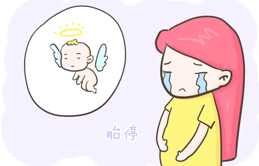 胎停有什么征兆,应该如何预防胎停插图 1658226847843646.png