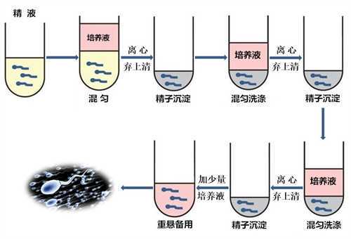 输卵管切除做试管成功率高不高?输卵管切除一边对身体有什么影响?插图2 输卵管切除做试管成功率高不高?输卵管切除一边对身体有什么影响?插图2