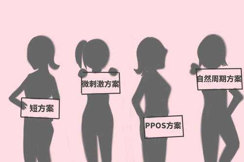 去俄罗斯做试管婴儿一定要找专门的中介吗？插图