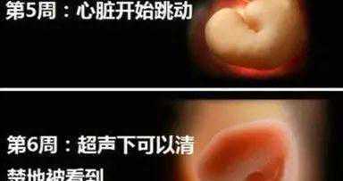 试管婴儿胚胎移植后孕酮低,要不要用黄体酮保胎?插图2 试管婴儿胚胎移植后孕酮低,要不要用黄体酮保胎?插图2