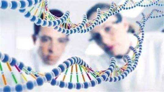 2024年最新十大全国试管婴儿医院排行靠前的医院都有哪些?插图 2024年最新十大全国试管婴儿医院排行靠前的医院都有哪些?插图
