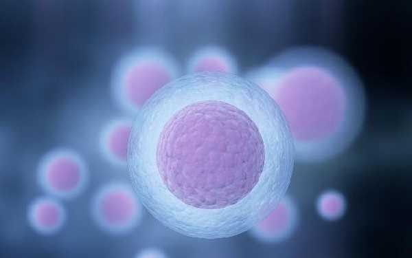 哈尔滨三代供卵试管婴儿医院排名？哪些医院能做三代供卵生男孩插图