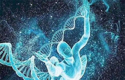 2024国内供卵试管生子不排队机构名单!附10家试管医院详细介绍插图2 undefined
