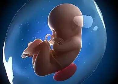 湖北省妇幼试管婴儿的费用是多少？插图