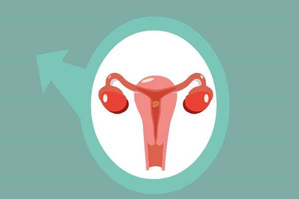 福州能做第三代试管婴儿医院，费用要多少钱？插图