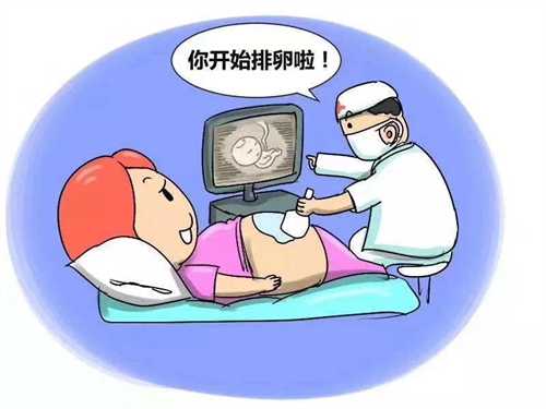 试管婴儿前期检查叶酸代谢要多少钱?试管婴儿前期检查费用多少?插图 试管婴儿前期检查叶酸代谢要多少钱?试管婴儿前期检查费用多少?插图
