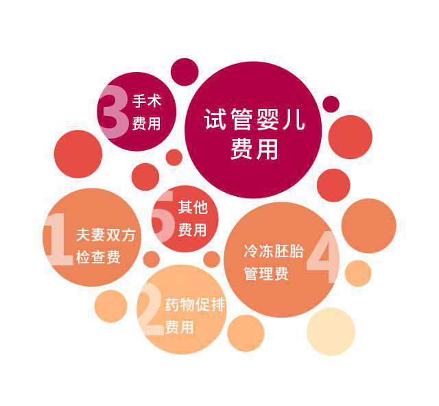 做泰国试管婴儿的费用多少？具体包含哪些费用!插图