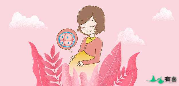乌克兰提供卵子试管婴儿一次移植成功率高吗插图