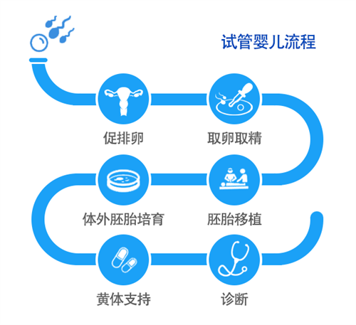 邵逸夫医院做试管的费用是多少?影响试管成功率的因素是什么?插图 undefined
