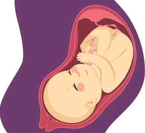 同性恋可以做试管婴儿吗?同性恋做试管婴儿多少钱?插图 同性恋可以做试管婴儿吗?同性恋做试管婴儿多少钱?插图