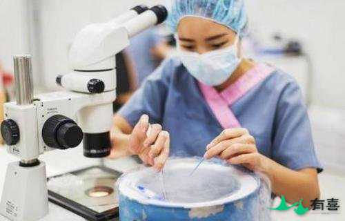马来西亚试管婴儿双胞胎存活率怎么样呢？插图