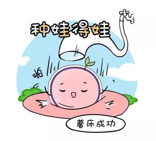 国外哪些国家做供卵是合法的 国内有哪些做供卵合法的医院插图 国外哪些国家做供卵是合法的 国内有哪些做供卵合法的医院插图