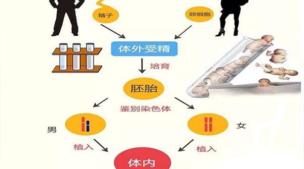 深圳北大三代试管婴儿指南：流程、成功率、费用这里都有插图2