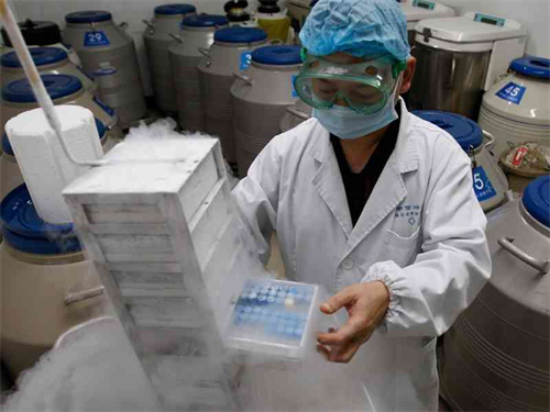 沈阳哪些医院能申请做供卵试管？沈阳做亲子鉴定费用贵不贵？插图
