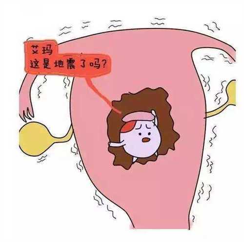 中山一院生殖中心能做供卵试管助孕吗?中山一院做试管成功率如何插图 中山一院生殖中心能做供卵试管助孕吗?中山一院做试管成功率如何插图