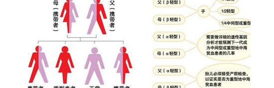 轻度地贫要不要做试管婴儿？具体要以严重程度而定插图2