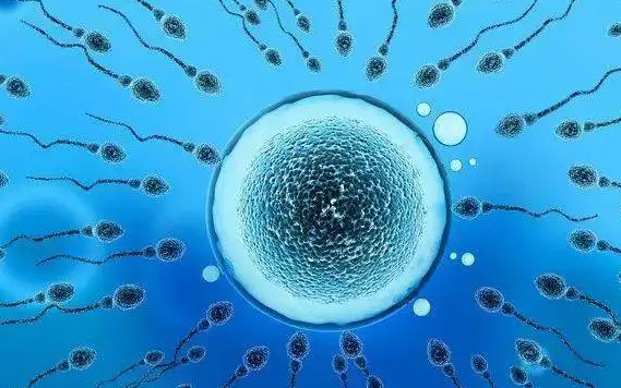 成都供精试管医院费用多少?附费用明细情况插图 成都供精试管医院费用多少?附费用明细情况插图