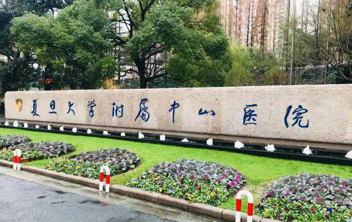 上海复旦大学附属中山医院做试管婴儿费用要多少钱？成功率高吗？插图1