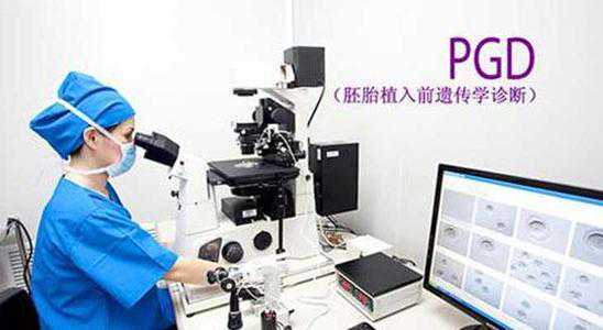 2024年俄罗斯试管婴儿流程是怎样的插图 2024年俄罗斯试管婴儿流程是怎样的插图