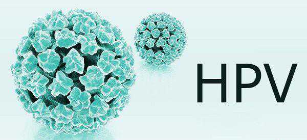 为什么有些人生完孩子后后悔打hpv4价?插图 为什么有些人生完孩子后后悔打hpv4价?插图