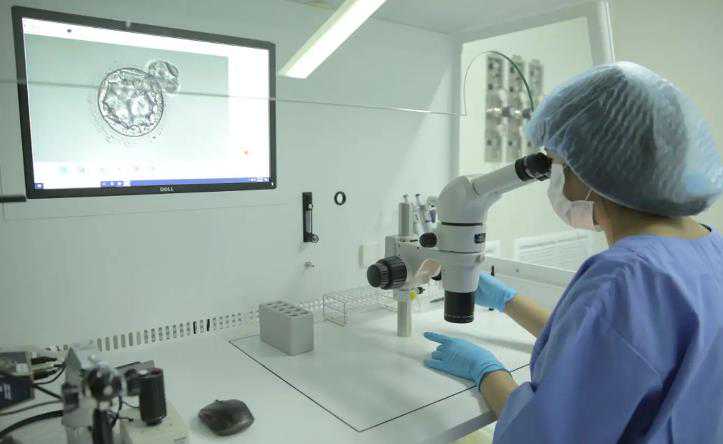 2024年最新私立试管婴儿医院排名?最好的私立试管医院有哪些?插图 2024年最新私立试管婴儿医院排名?最好的私立试管医院有哪些?插图