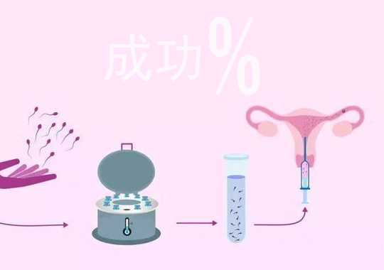 人工授精成功率是多少?插图 人工授精成功率是多少?插图