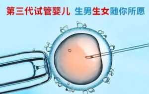 2024试管婴儿一代、二代和三代的费用各是多少？试管一、二、三代之间有什么区别？插图