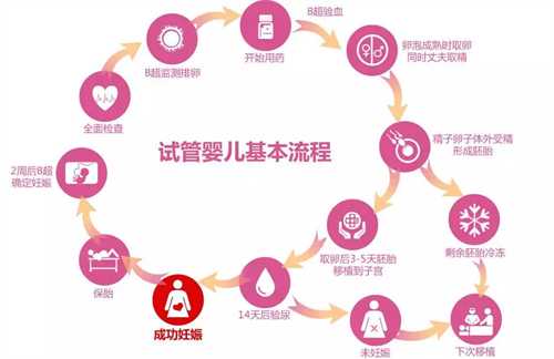 国内供卵试管医院前十推荐 最全供卵试管医院名单公布插图 国内供卵试管医院前十推荐 最全供卵试管医院名单公布插图